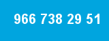 966 738 29 51